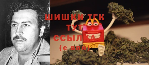Альфа ПВП Рославль