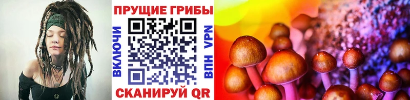 Псилоцибиновые грибы Magic Shrooms  Купить  Горняк 