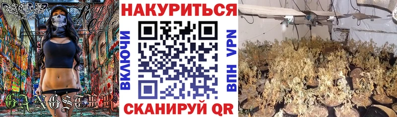 Купить  Горняк  Каннабис SATIVA & INDICA 